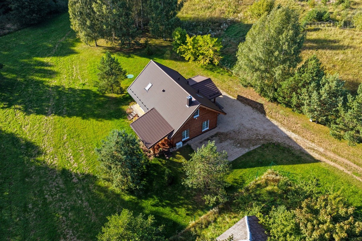Ant smėlėtos Srovės upės kranto, gražiausių - nuotraukos Nr. 6