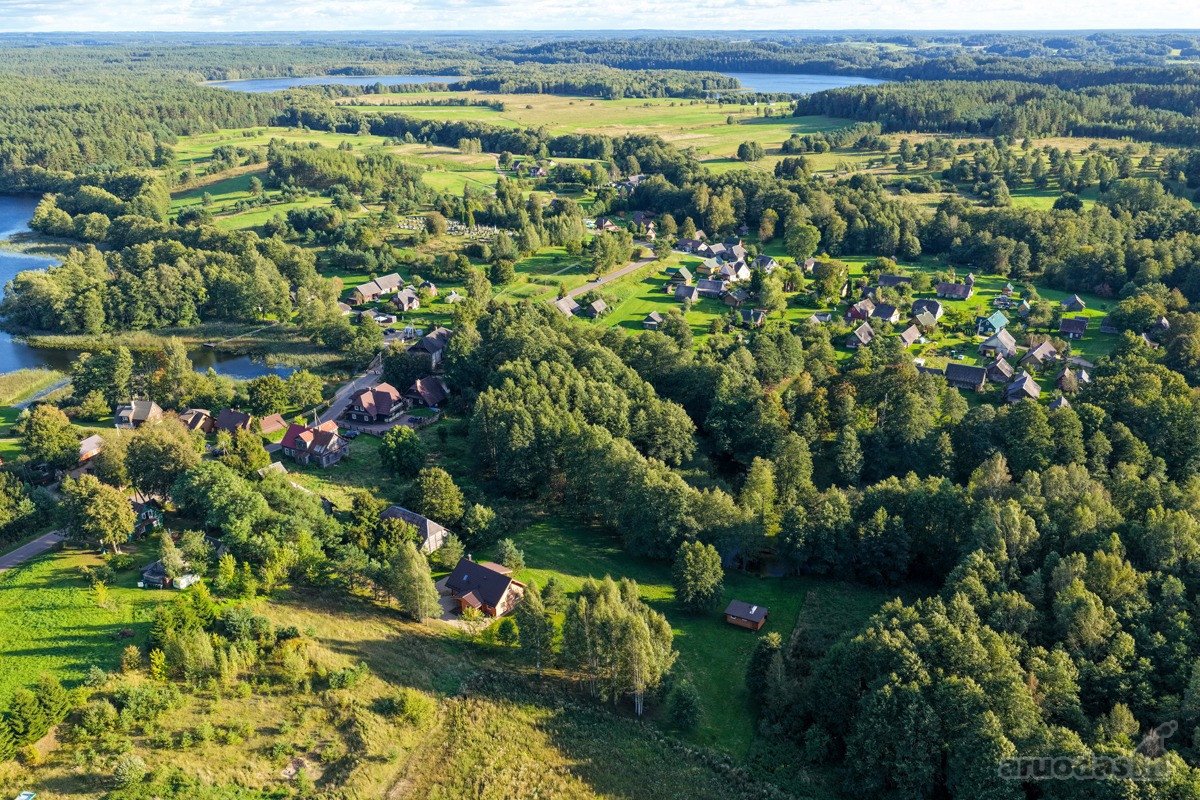 Ant smėlėtos Srovės upės kranto, gražiausių - nuotraukos Nr. 26