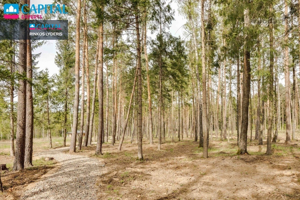 Laisvi Liko Tik 3 Namai ! - nuotraukos Nr. 25