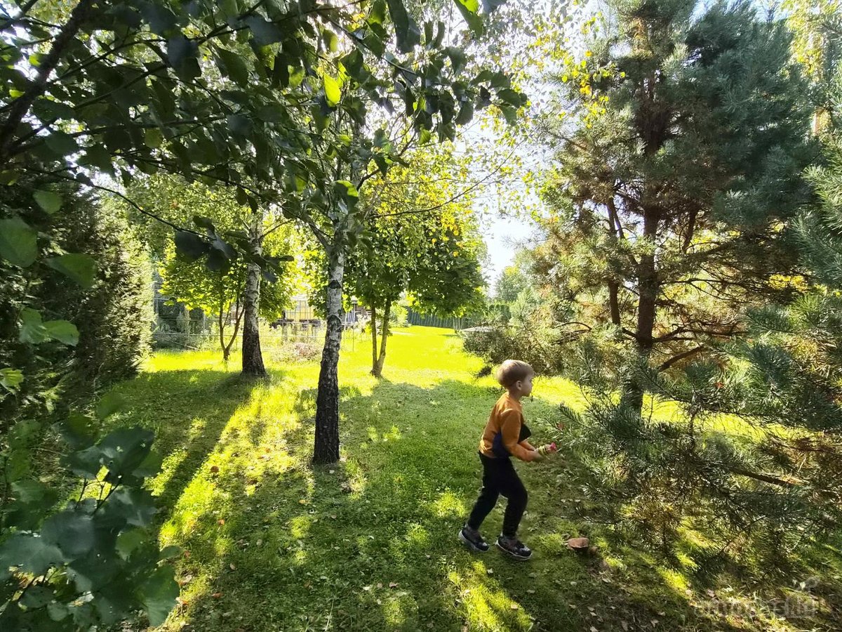 Autentiška rąstinė sodyba jūsų poilsiui ar - nuotraukos Nr. 3