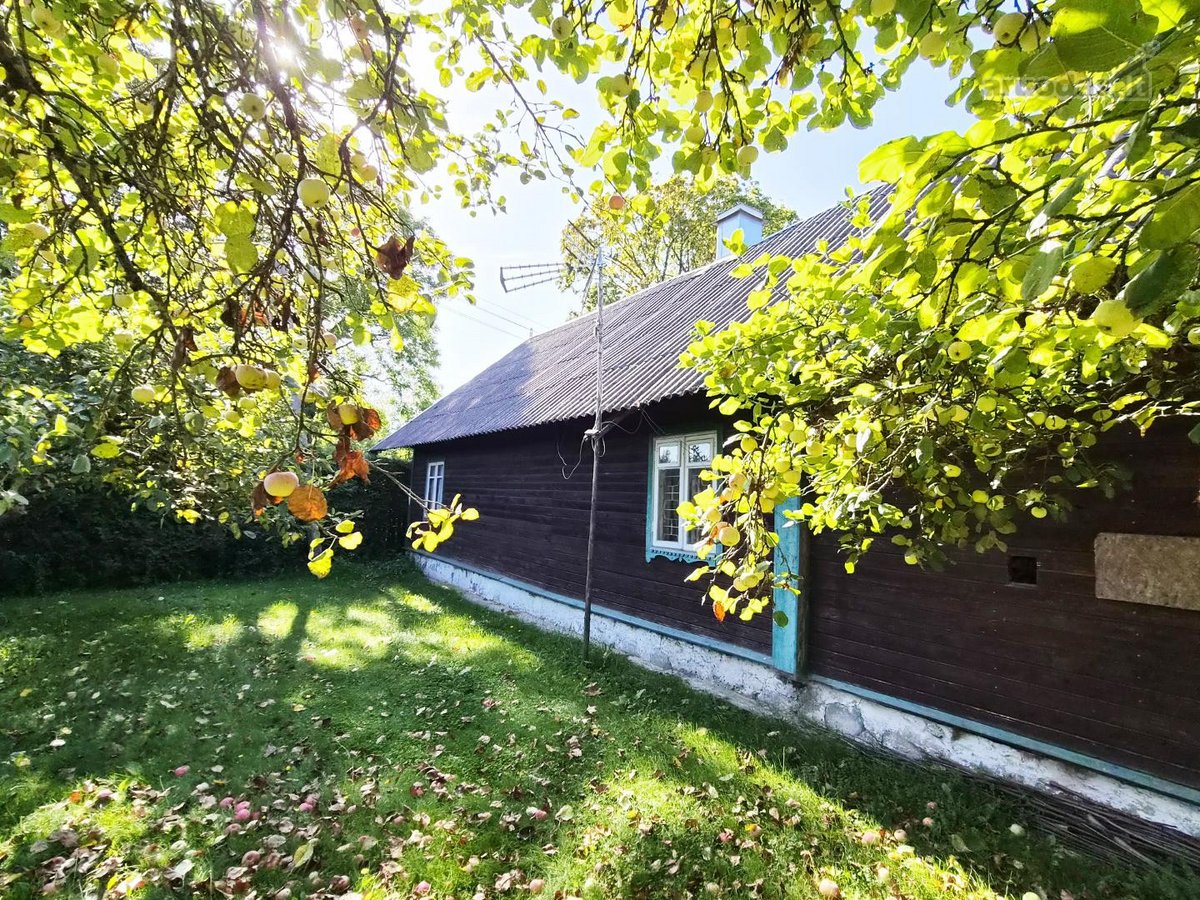 Autentiška rąstinė sodyba jūsų poilsiui ar - nuotraukos Nr. 24