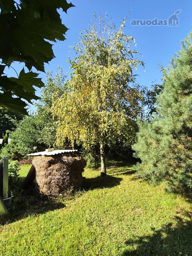 Autentiška rąstinė sodyba jūsų poilsiui ar - nuotraukos Nr. 18