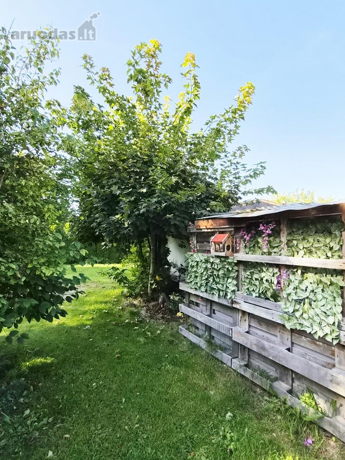 Autentiška rąstinė sodyba jūsų poilsiui ar - nuotraukos Nr. 29