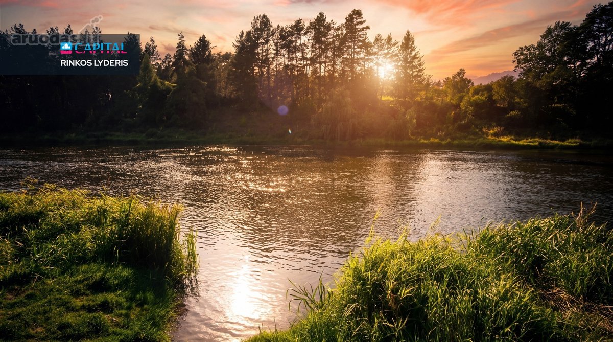 Antakalnyje Miškų Apsuptyje Parduodamas - nuotraukos Nr. 35
