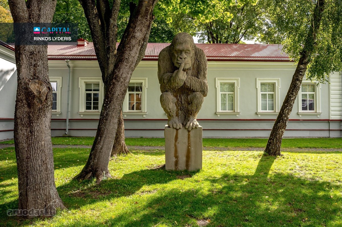Antakalnyje, Miško Apsupty, 7 Arų Sklype - nuotraukos Nr. 29