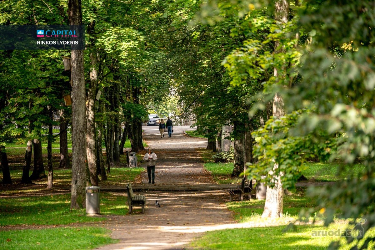 Antakalnyje, Miško Apsupty, 7 Arų Sklype - nuotraukos Nr. 31