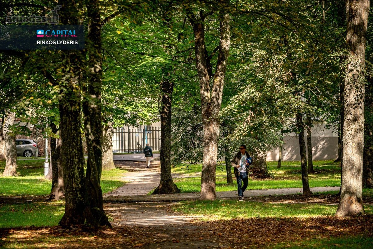 Antakalnyje, Miško Apsupty, 7 Arų Sklype - nuotraukos Nr. 32