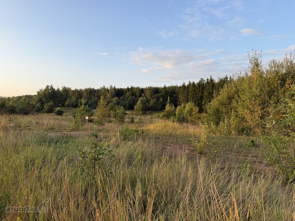 Parduodamas 1.697 Ha Žemės Ūkio Paskirties - nuotraukos Nr. 2