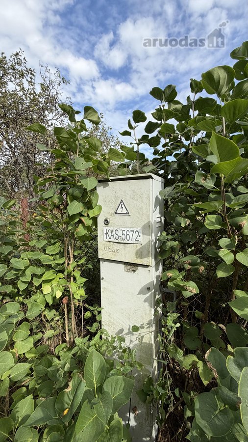 Parduodama jauki sodyba su 4,94 ha žemės - nuotraukos Nr. 22