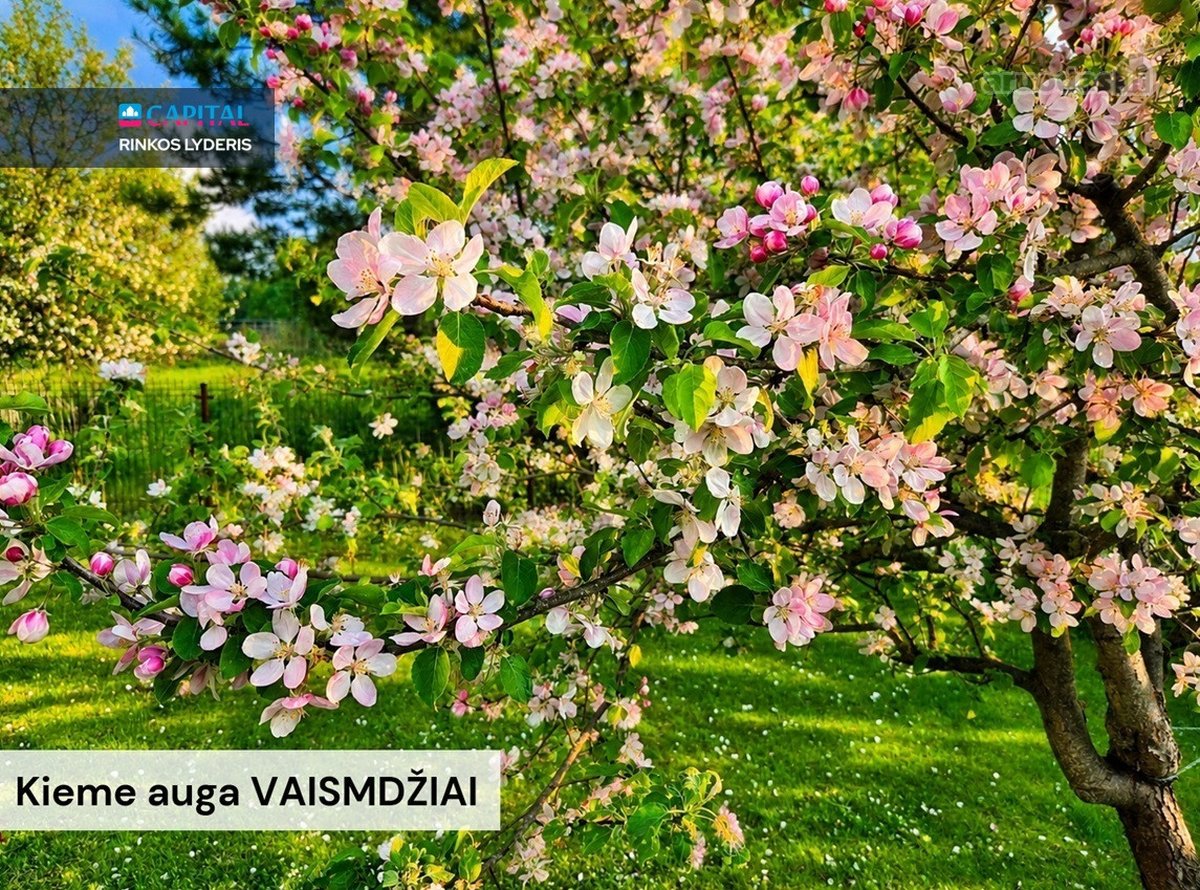 Parduodamas patogus sublokuotas Namas - nuotraukos Nr. 26
