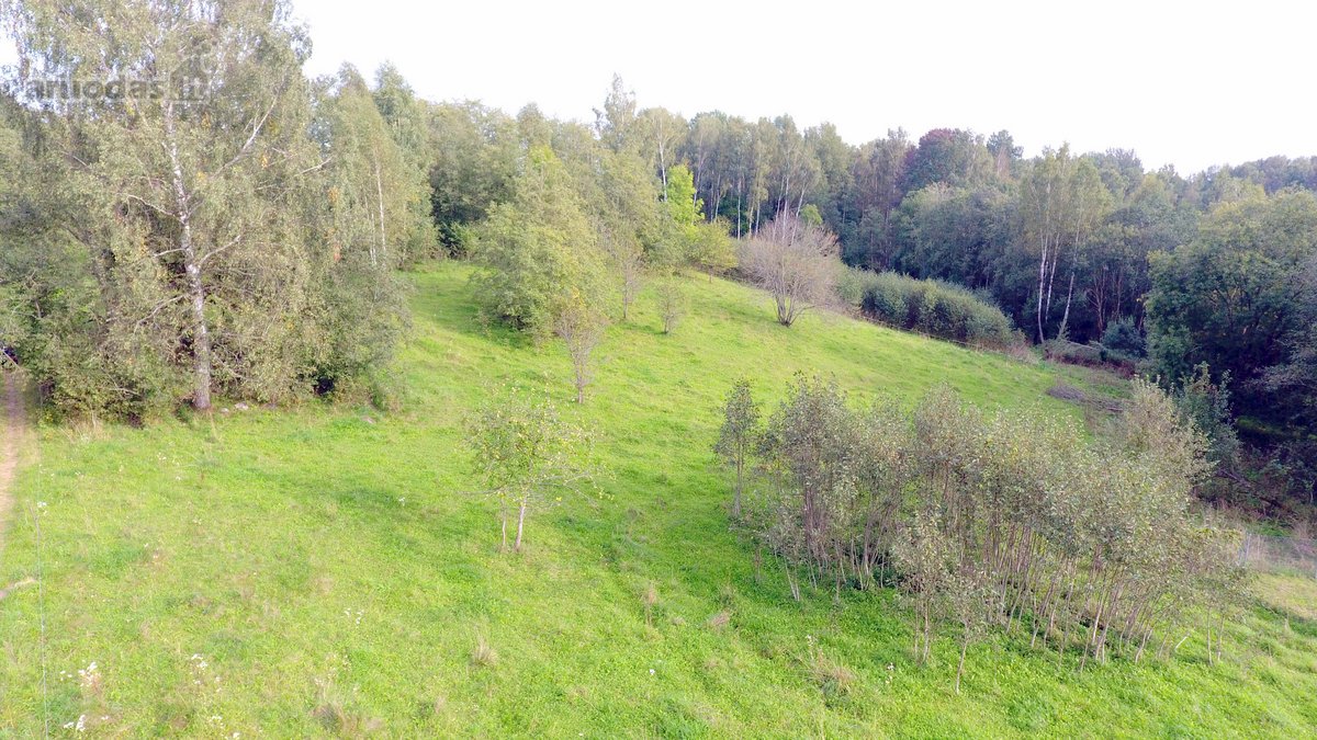 Parduodama rastinė sodyba su geru gyvenamuoju - nuotraukos Nr. 5