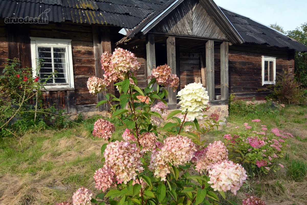 Parduodama rastinė sodyba su geru gyvenamuoju - nuotraukos Nr. 26