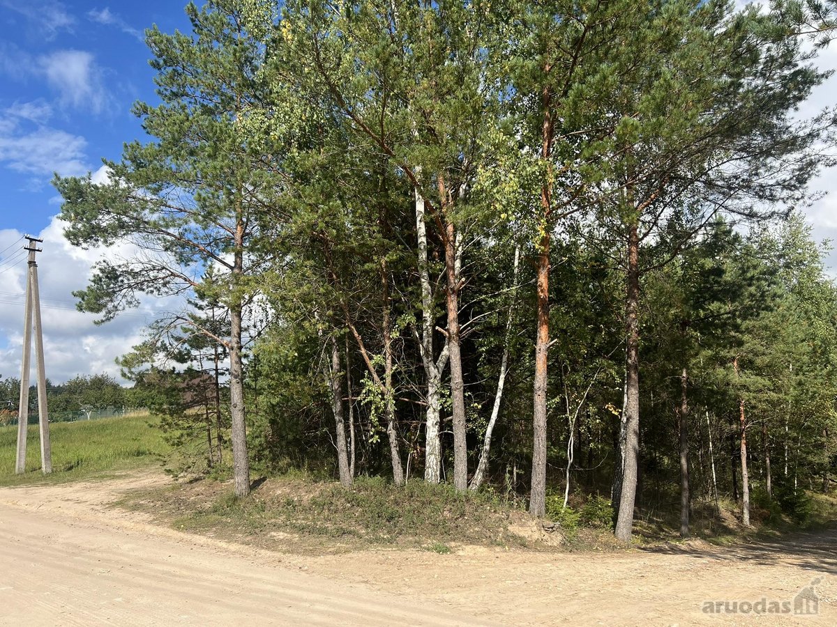 Sklypas 10.54 a Vilniaus r. Radžulių k., - nuotraukos Nr. 9