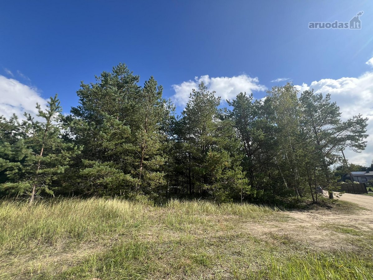 Sklypas 10.54 a Vilniaus r. Radžulių k., - nuotraukos Nr. 14