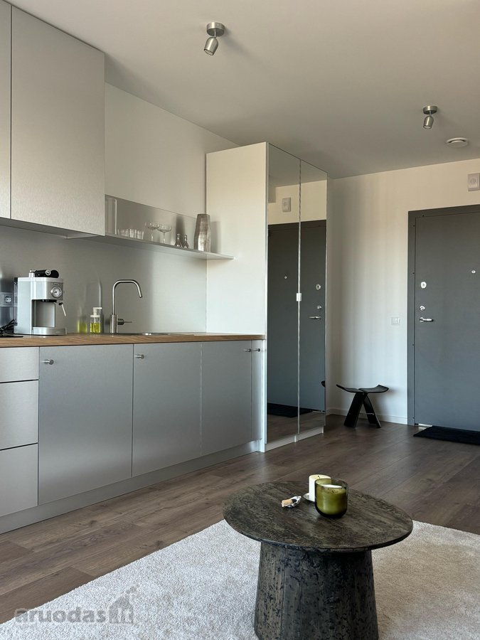 Šviesūs apartamentai šalia Ozo parko. - nuotraukos Nr. 4