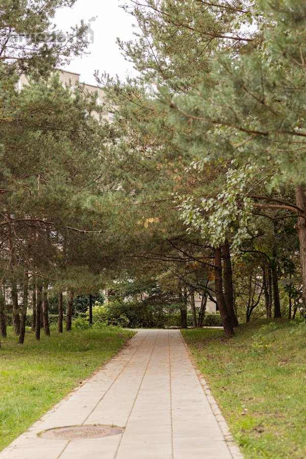 Parduodamas Erdvus 3 Kambarių Butas Pilaitėje - nuotraukos Nr. 32