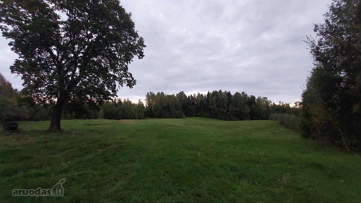 Parduodama išskirtinė sodyba-vienkiemis su 7 - nuotraukos Nr. 13