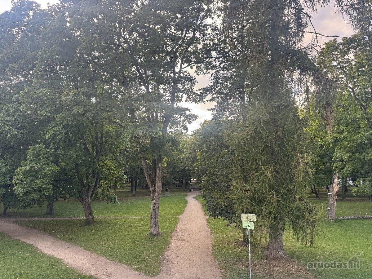 Išnuomojamos ofiso paskirties patalpos, - nuotraukos Nr. 17