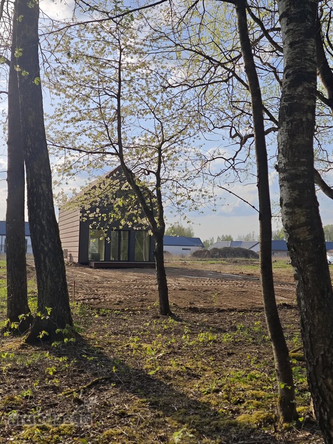 Asfaltuotos Vidines Gayves ,Valstybinis Miskas ! - nuotraukos Nr. 49