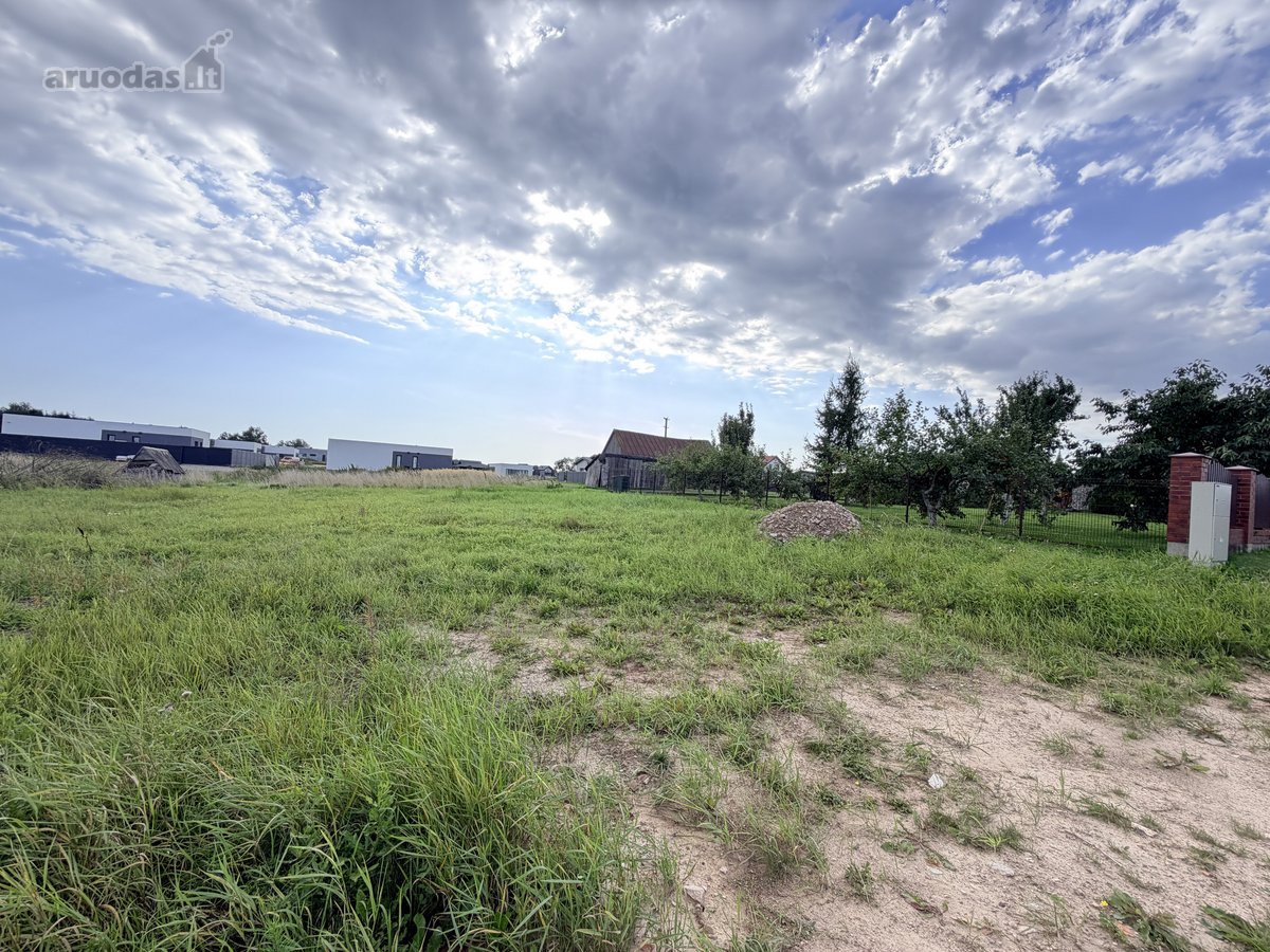 _ - nuotraukos Nr. 8
