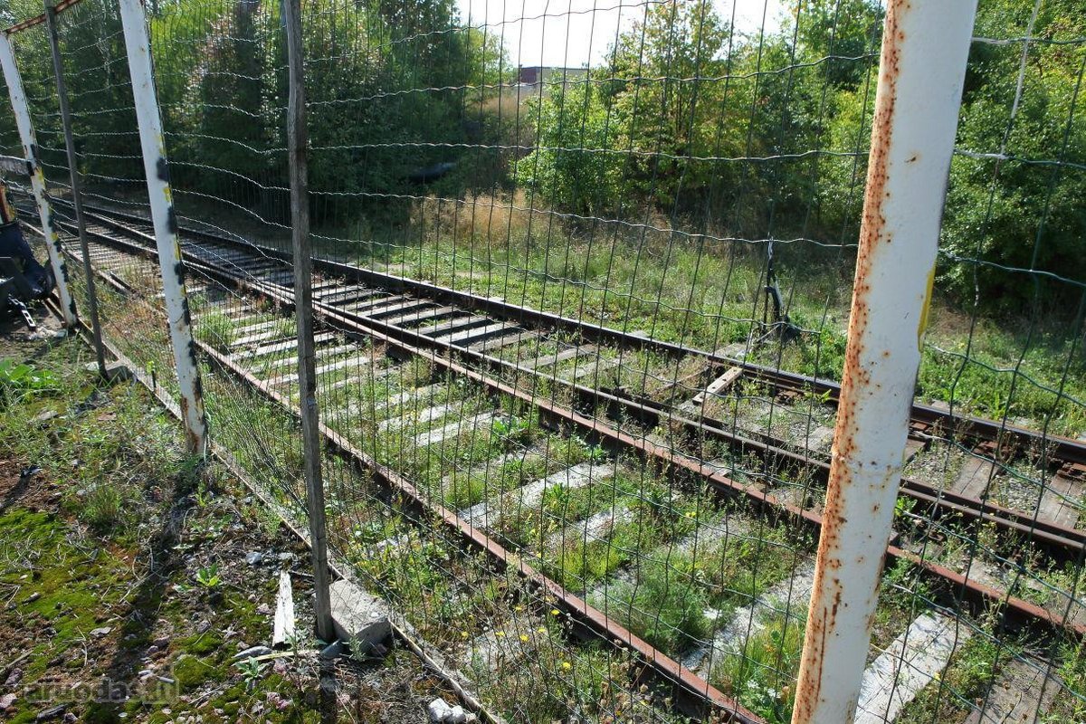 Išnuomojamas 441,74 m² sandėlis Klaipėdoje - nuotraukos Nr. 3