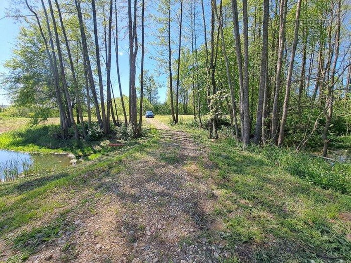 Parduodamas išskirtinis net 170 arų (1,7 ha) - nuotraukos Nr. 4