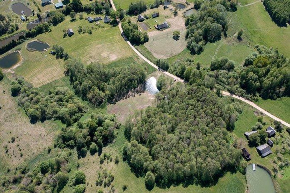 Parduodamas išskirtinis net 170 arų (1,7 ha) - nuotraukos Nr. 5