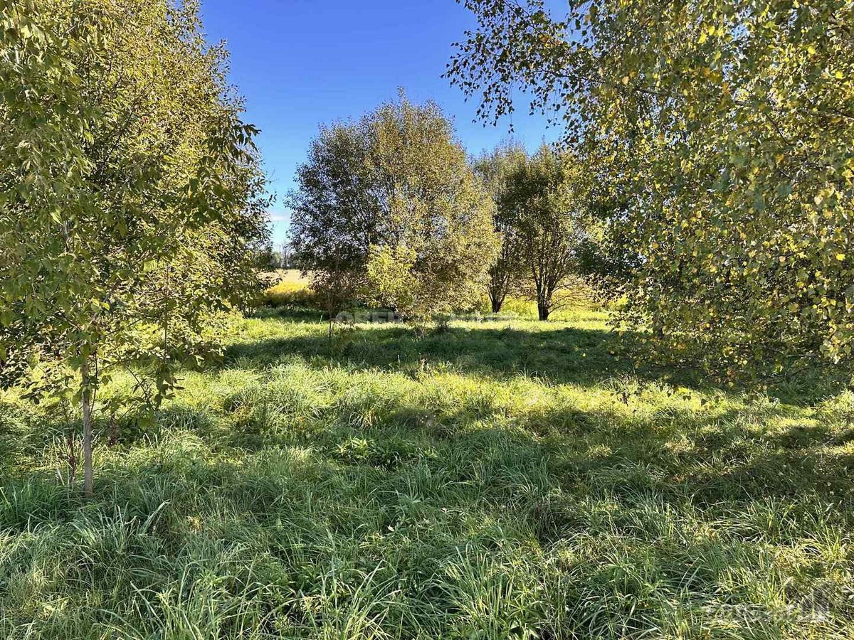 Parduodamas 20 arų sklypas, esantis Rokiškio - nuotraukos Nr. 9