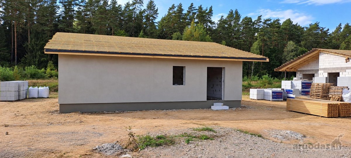 Miško apsuptyje, naujai besiformuojančiame - nuotraukos Nr. 24