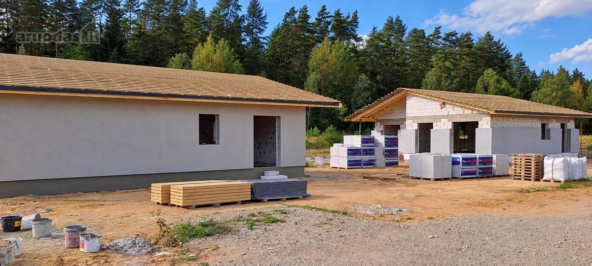 Miško apsuptyje, naujai besiformuojančiame - nuotraukos Nr. 25
