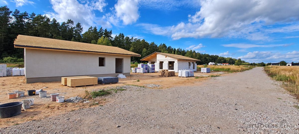 Miško apsuptyje, naujai besiformuojančiame - nuotraukos Nr. 26