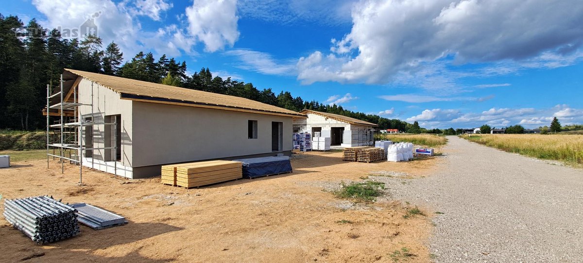 Miško apsuptyje, naujai besiformuojančiame - nuotraukos Nr. 27