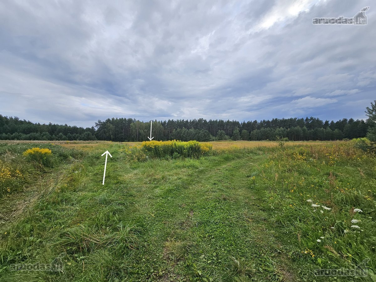 Parduodami 2 žemės sklypai 0,1260 ha ir 0 - nuotraukos Nr. 10