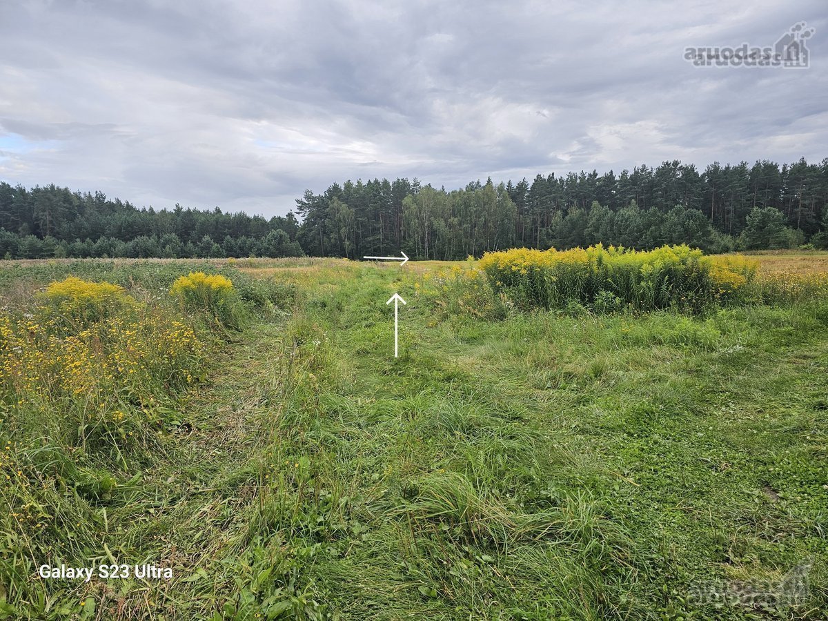 Parduodami 2 žemės sklypai 0,1260 ha ir 0 - nuotraukos Nr. 11