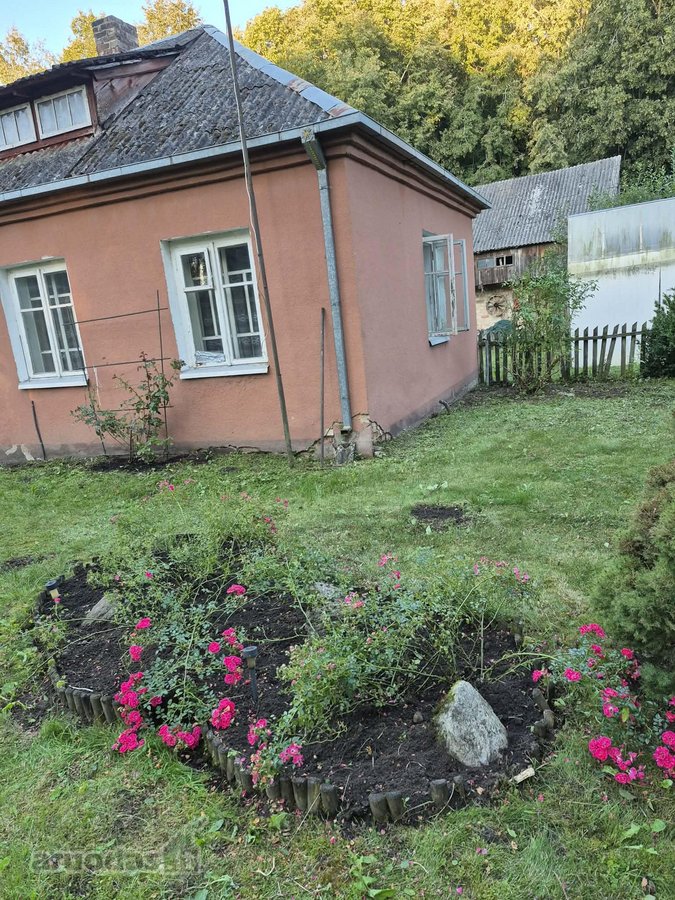 Ieškote vietos, kur būtų daug žalumos, - nuotraukos Nr. 2