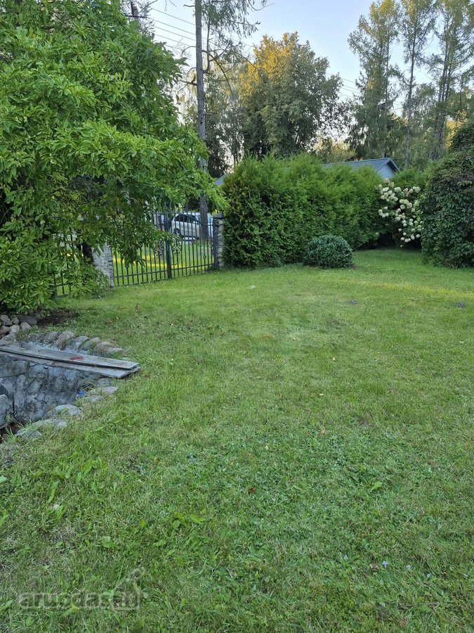 Ieškote vietos, kur būtų daug žalumos, - nuotraukos Nr. 11