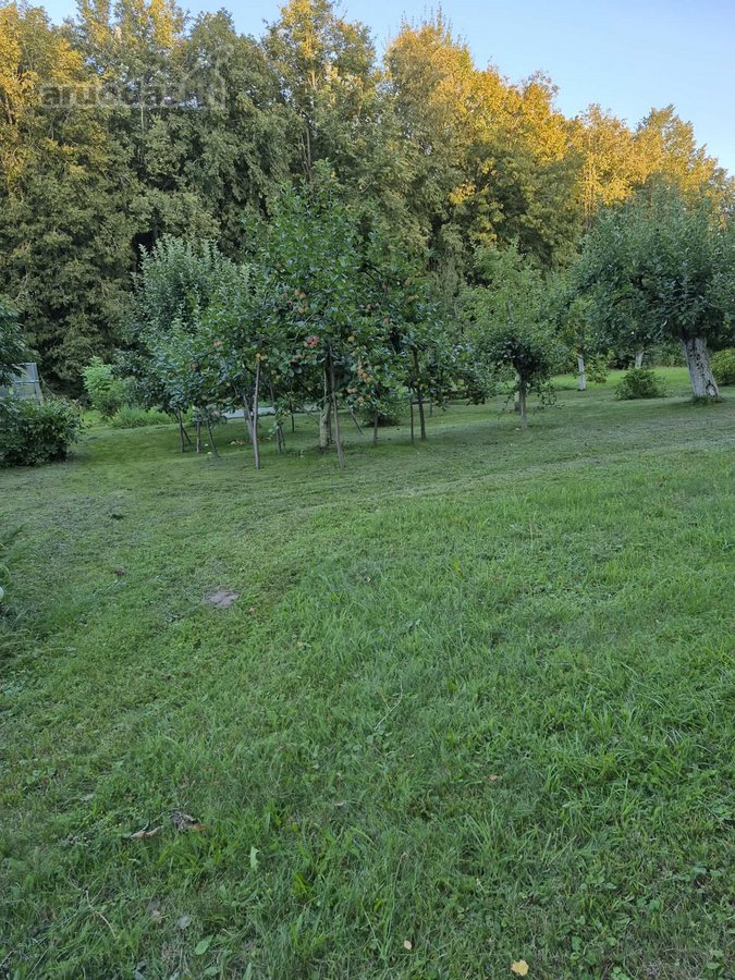 Ieškote vietos, kur būtų daug žalumos, - nuotraukos Nr. 13