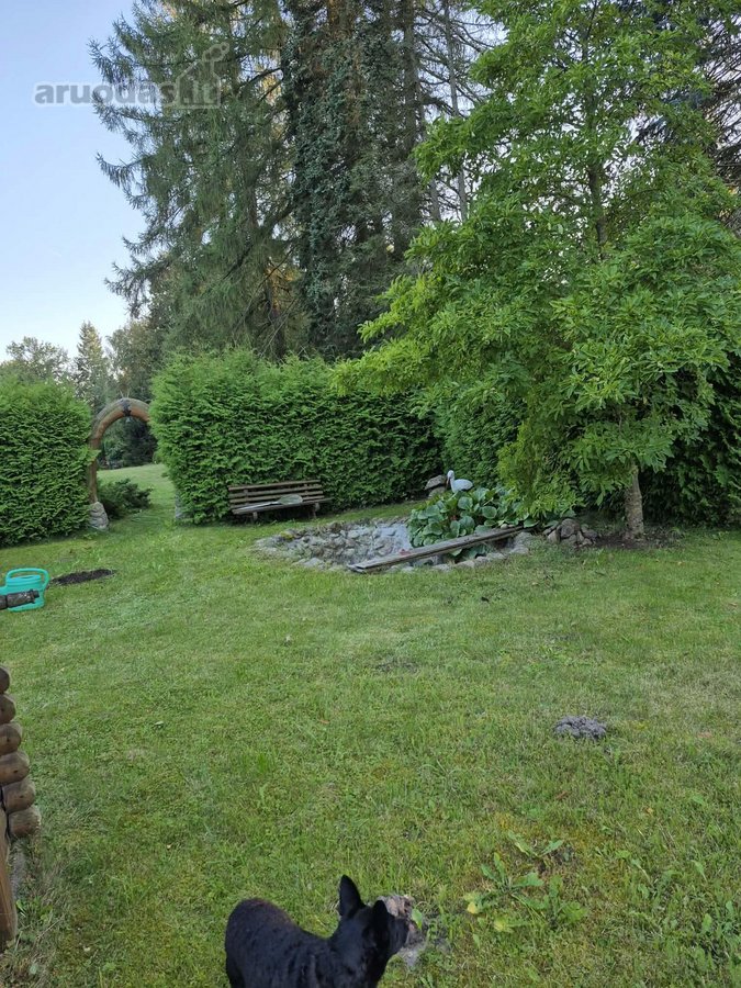 Ieškote vietos, kur būtų daug žalumos, - nuotraukos Nr. 14