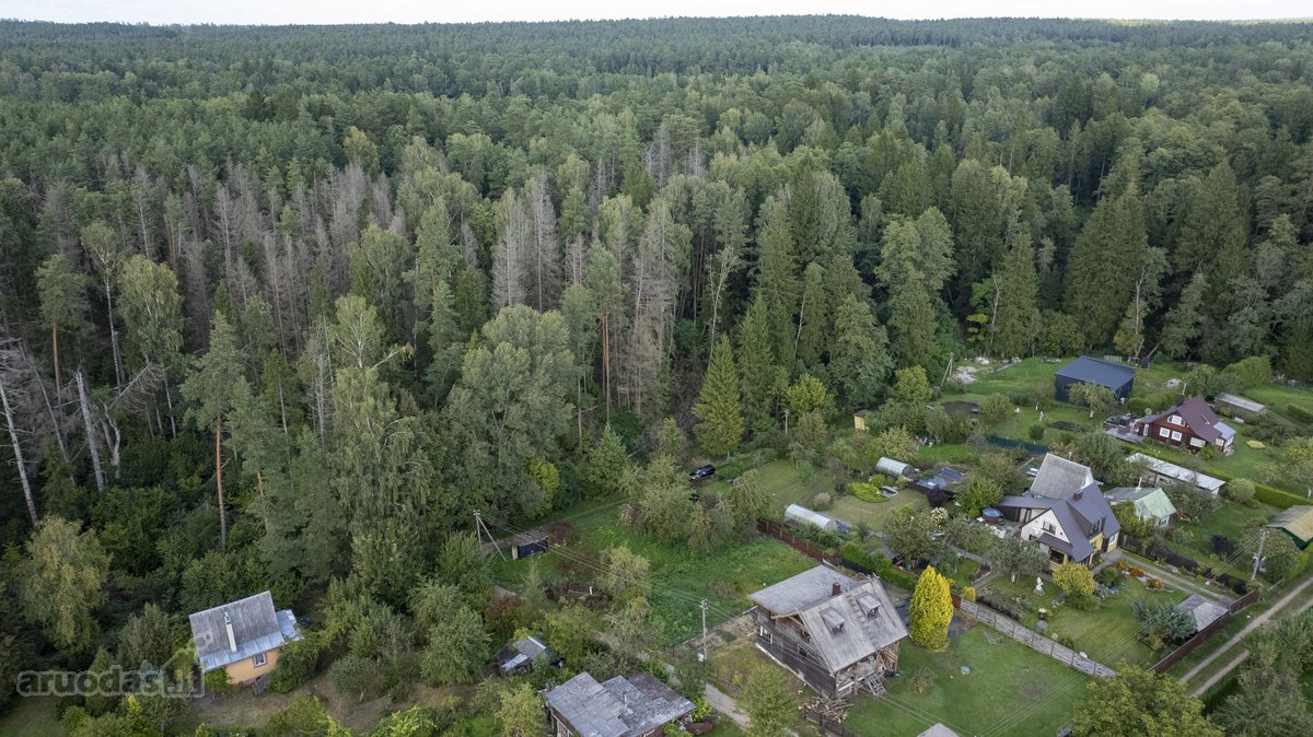 Sklypas randasi 25 kilometrai nuo Kauno, - nuotraukos Nr. 3