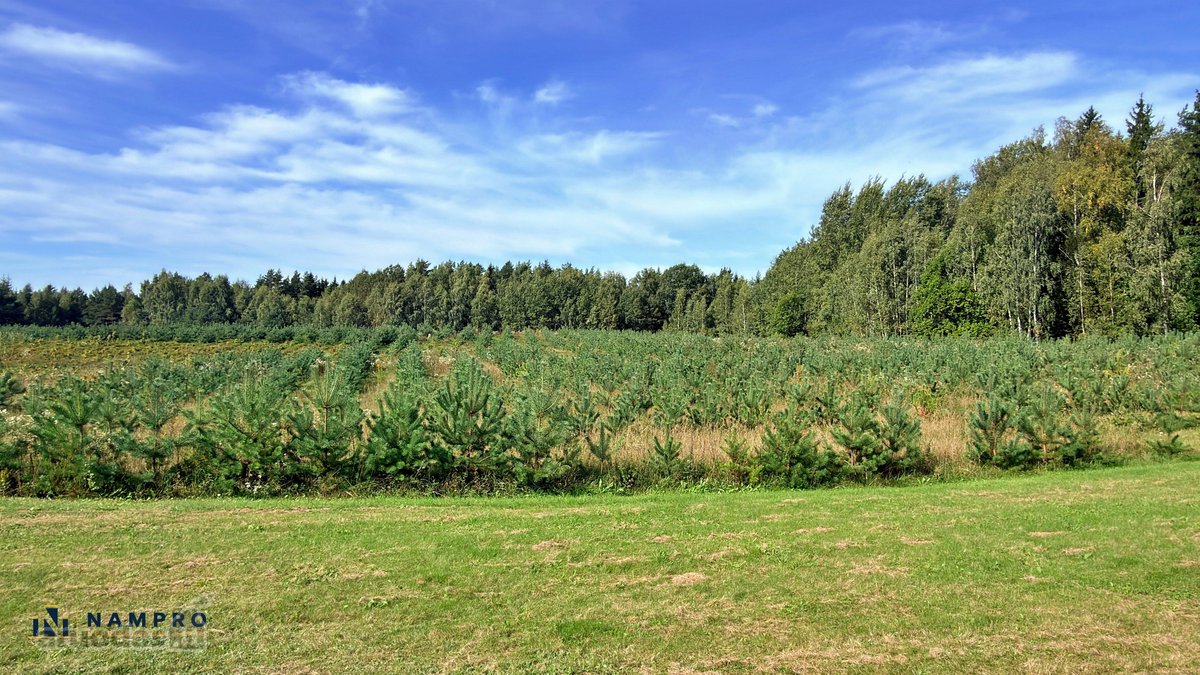 Parduodama jauki sodyba Trakų rajone, - nuotraukos Nr. 64