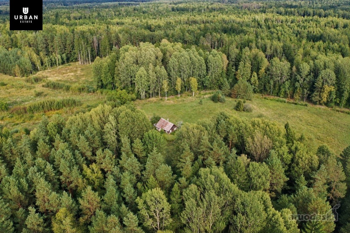 Parduodamas Erdvus Žemės Sklypas Su Mišku Ir - nuotraukos Nr. 3
