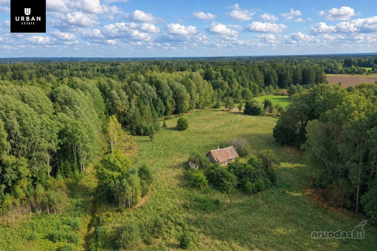 Parduodamas Erdvus Žemės Sklypas Su Mišku Ir - nuotraukos Nr. 6