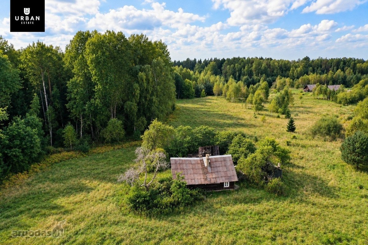 Parduodamas Erdvus Žemės Sklypas Su Mišku Ir - nuotraukos Nr. 7