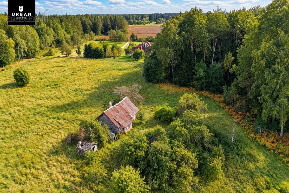Parduodamas Erdvus Žemės Sklypas Su Mišku Ir - nuotraukos Nr. 8