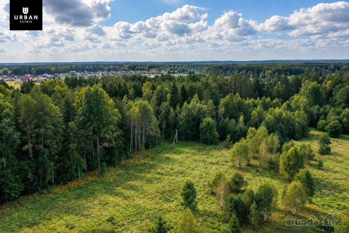 Parduodamas Erdvus Žemės Sklypas Su Mišku Ir - nuotraukos Nr. 11