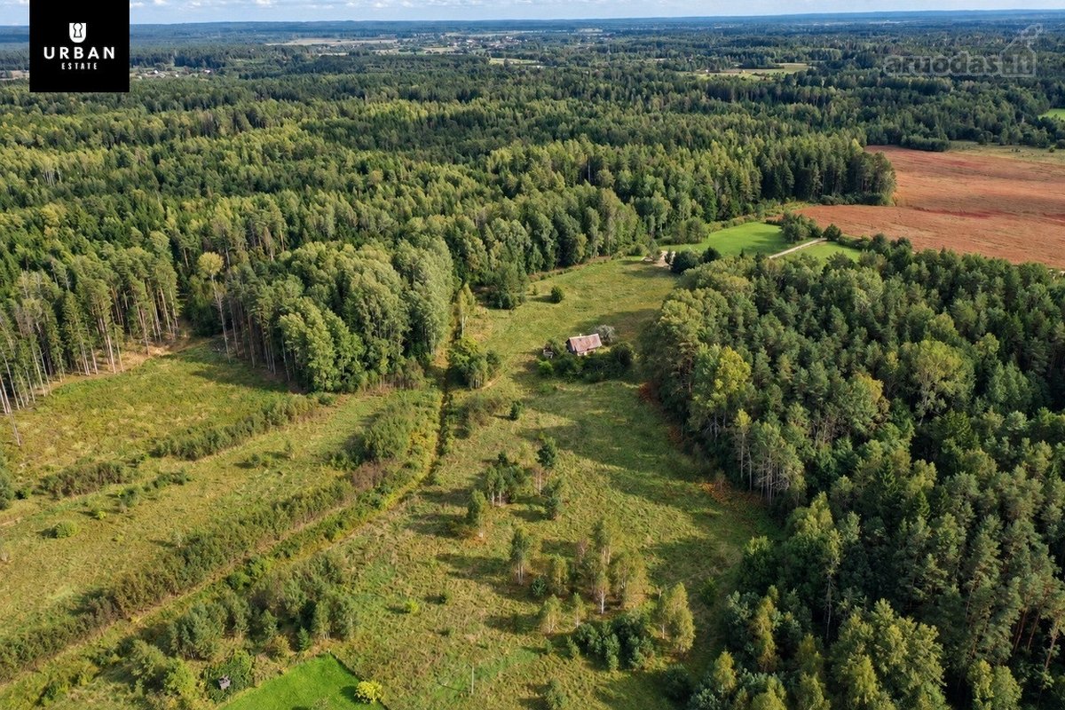 Parduodamas Erdvus Žemės Sklypas Su Mišku Ir - nuotraukos Nr. 12