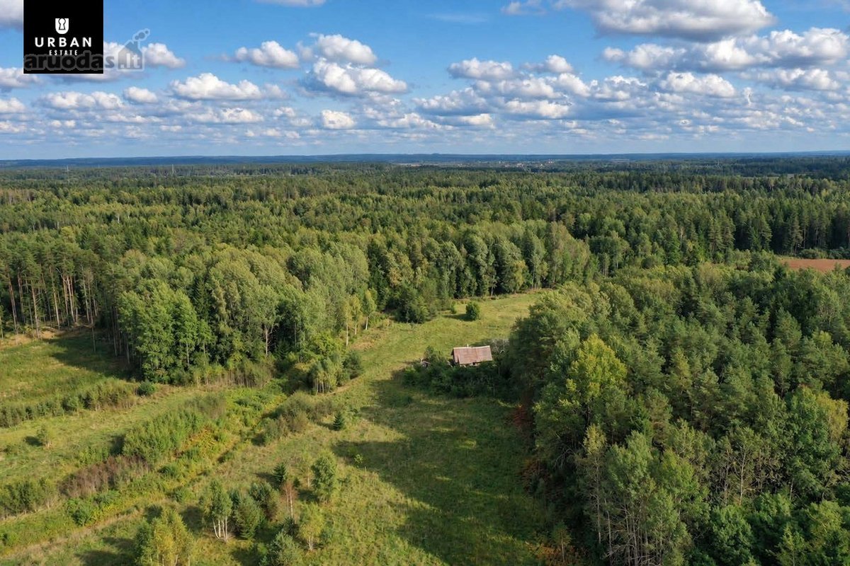 Parduodamas Erdvus Žemės Sklypas Su Mišku Ir - nuotraukos Nr. 13