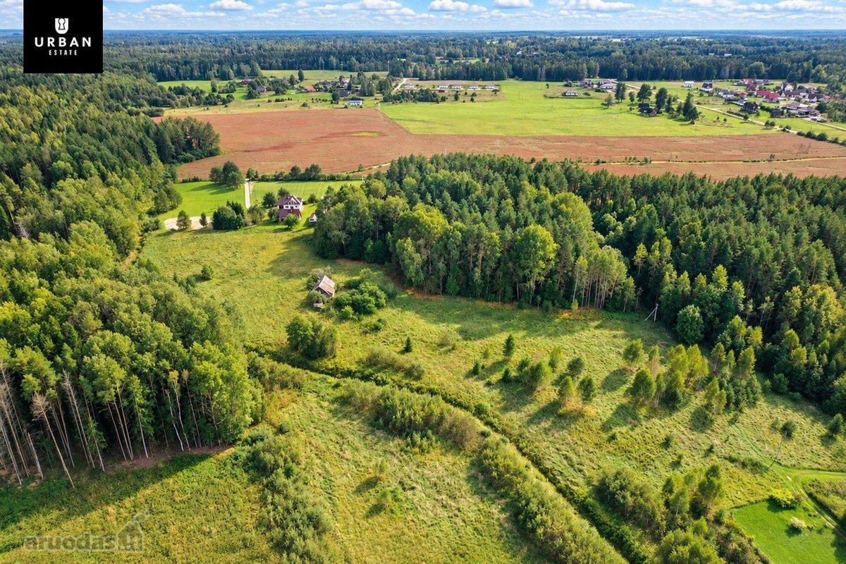 Parduodamas Erdvus Žemės Sklypas Su Mišku Ir - nuotraukos Nr. 14