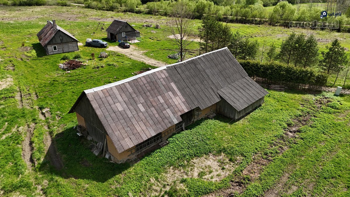 Puikiai Tinka Norintiems Iškirtinumo Ir - nuotraukos Nr. 2