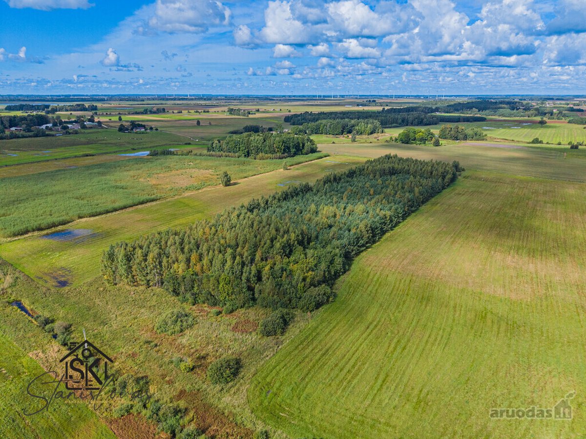 Parduodamas 3.8000 Ha Žemės Sklypas Šilutės R - nuotraukos Nr. 4